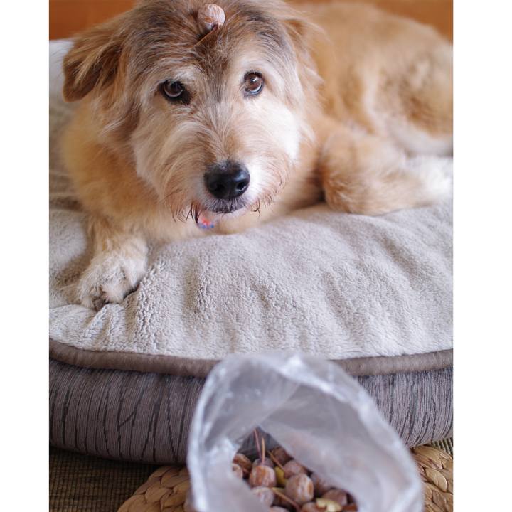 500ac7ca 6b6b 443f 995c 40c8ec8fe73e 1605870677207