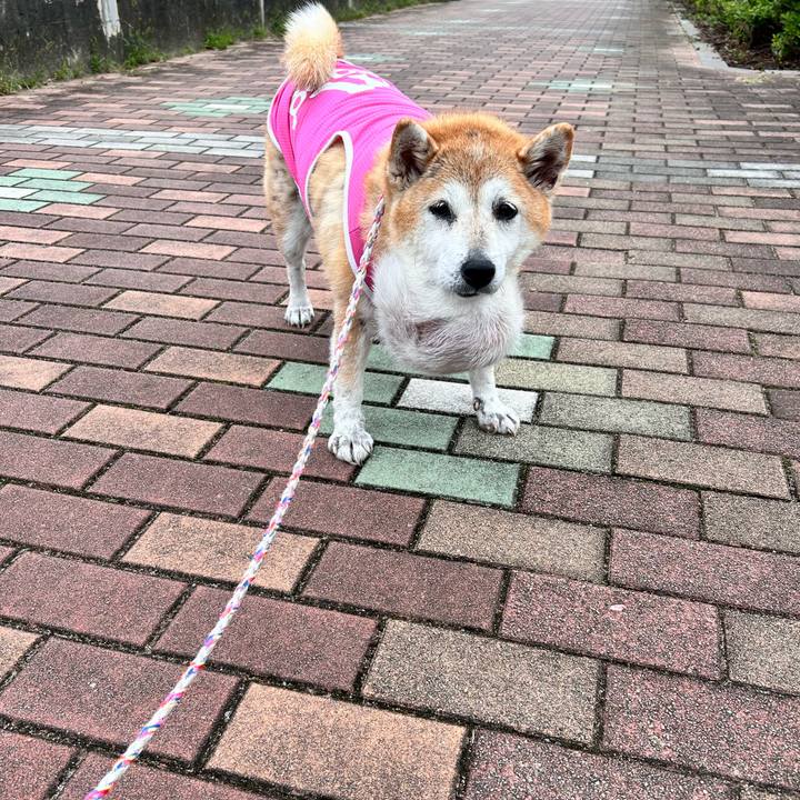 500af8a9 40b0 4ad4 9359 adc00b1efc69 1761019842709