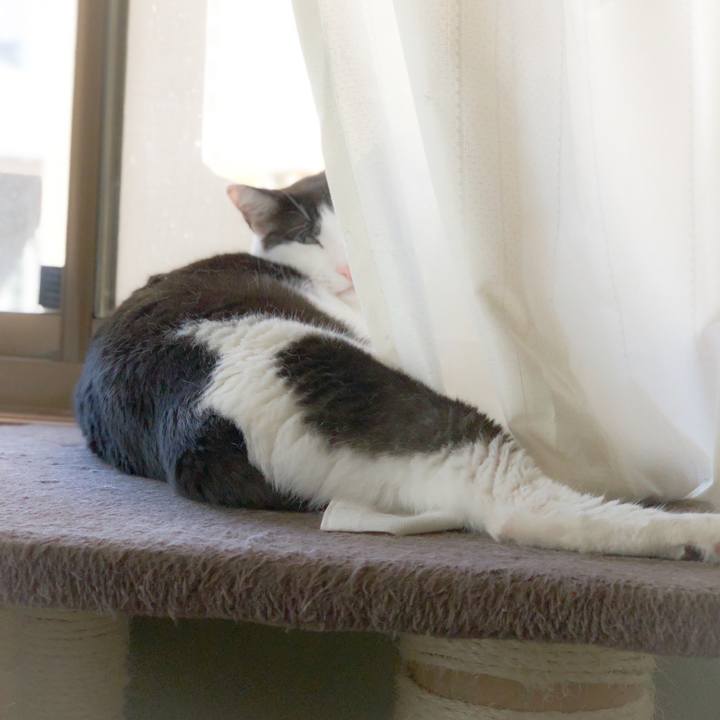 500afb3f b91a 4fdc a31e 30de4e533cf4 1560130306153