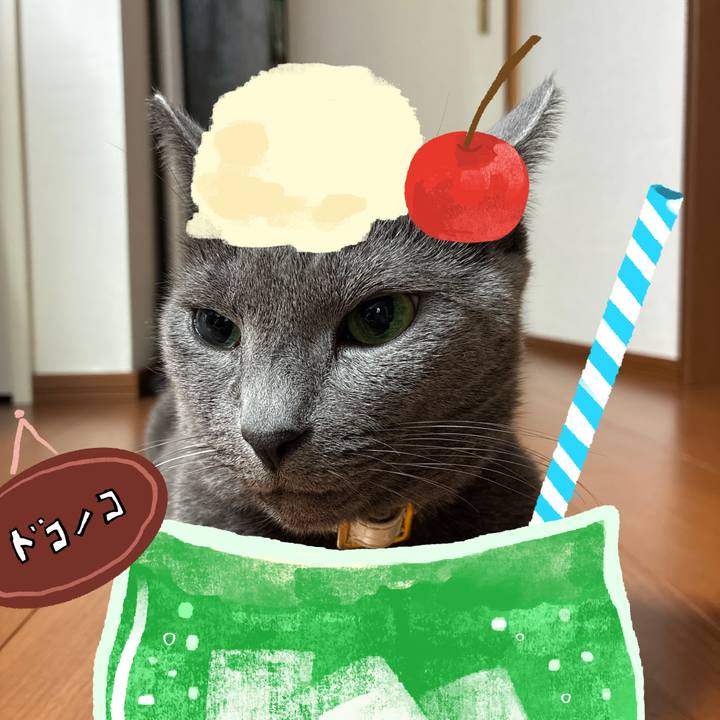 500b0c86 bcb2 4df8 9d8a 1d12b923acce 1755065864273