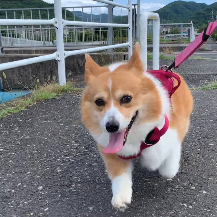 500b1f8f 5c0f 4ab1 a436 a5a8f271361a 1657153889544