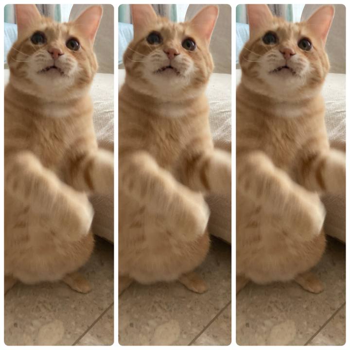 500b3668 ff5c 48cb a5a6 cca40eef1af8 1759847061714