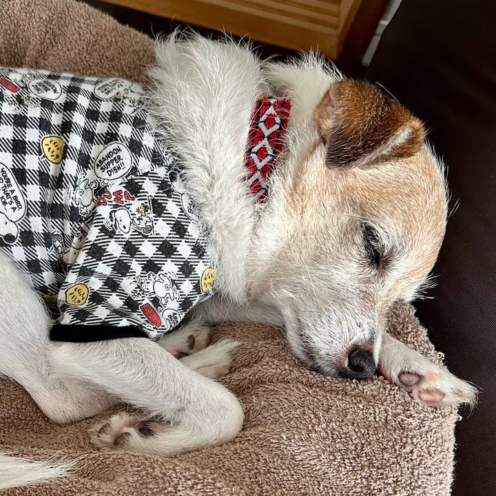 500b691e 35a0 43b5 8e90 88a756da1835 1699342203011