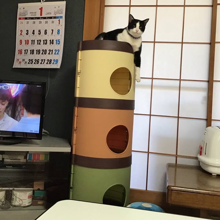 500b7212 864f 418d 973f 4ff4a07d96f6 1641943360717