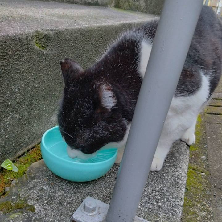 500b87e4 ed3b 4122 bb18 7311ed63c5a1 1700724489701