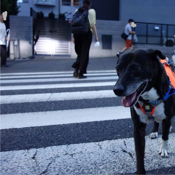 500b9475 8900 4c5b b093 021b4a09b8f9 1750763391808