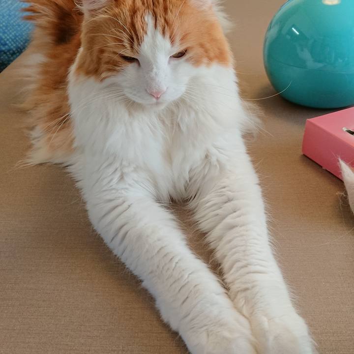 500b9be0 ba06 425d 872c 61b926c1c52a 1535253993976