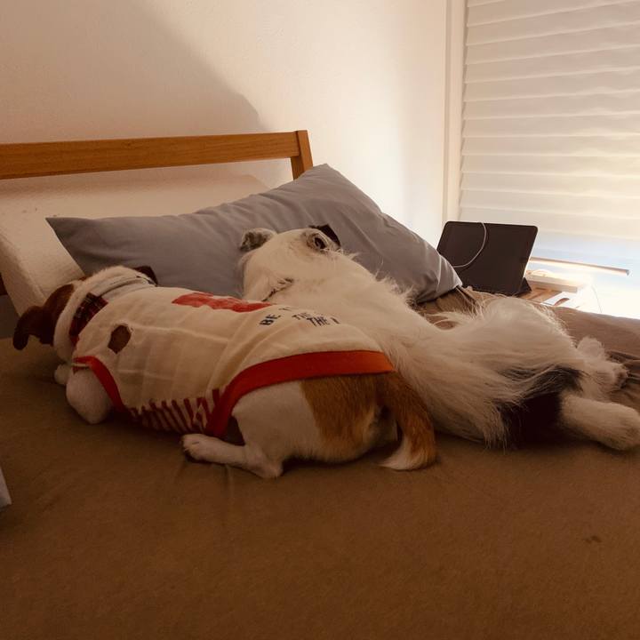 500bc82a 5f72 425f ba48 f245a884085d 1594825022370