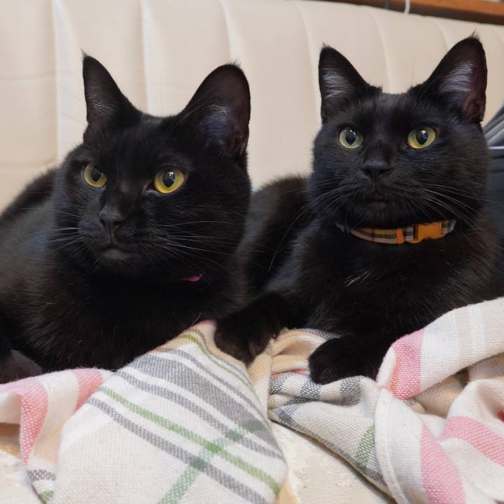 500c1064 6f1f 48dd 9216 5d693771508b 1609077626546