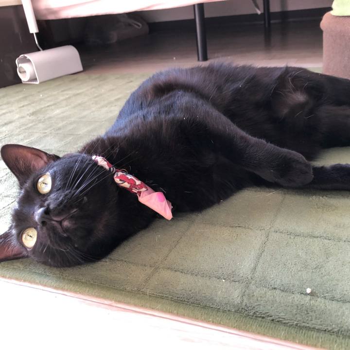 500c467d 9ce3 4dd4 8e19 d9adf6798497 1582861532906