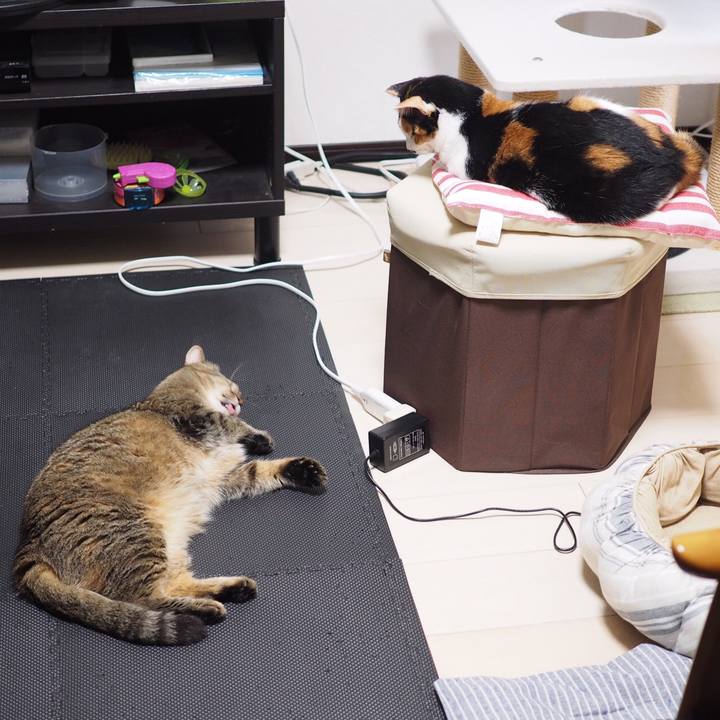 500c49cc e10e 446f a78b c57529595ec1 1532317462096