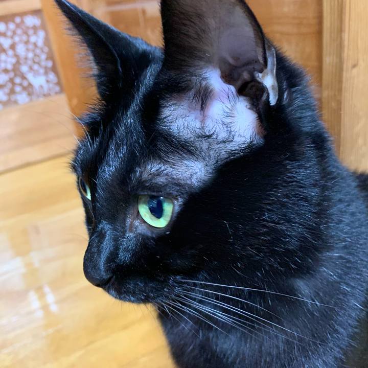 500caa74 8507 4c37 b712 c60678731092 1607171879943