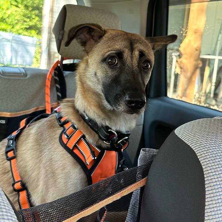 500cb9b5 8950 4524 b451 cef3a8963947 1728551119132