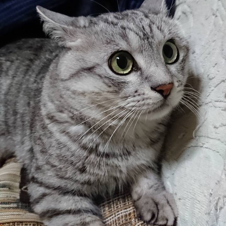 500ccb29 f089 490d baef 3e68c513d440 1546955411863