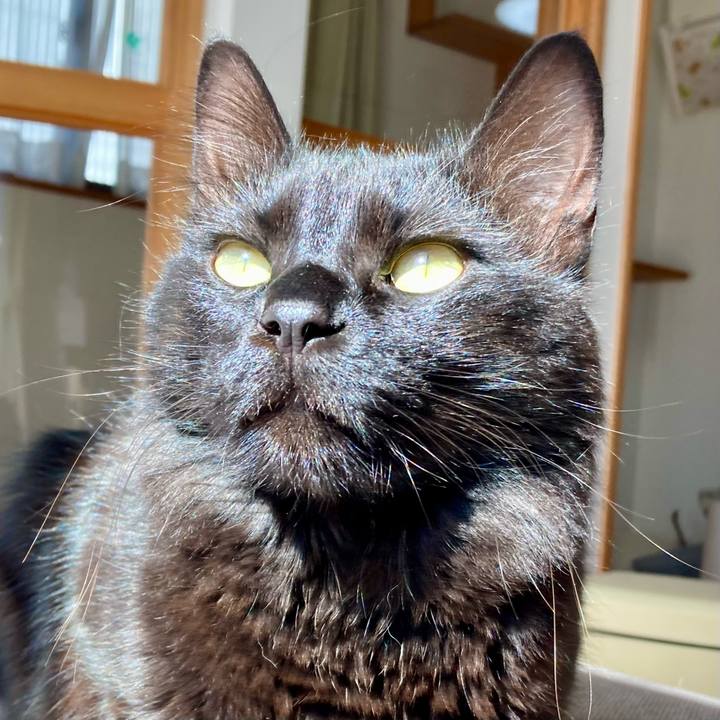 500cf1d3 5a7c 4334 aeb7 448870781635 1738723293931