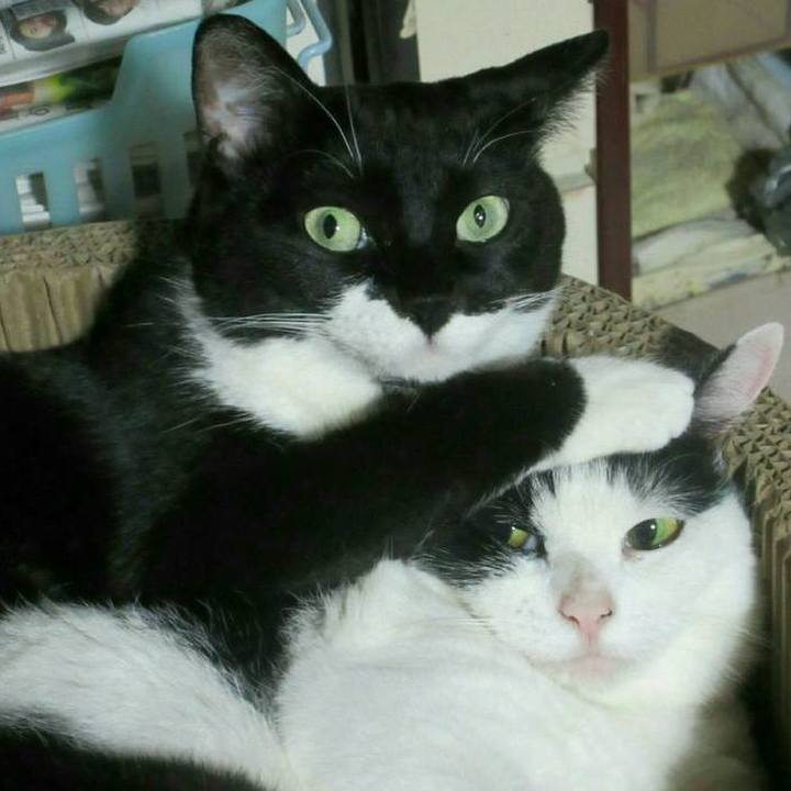 500d2cc7 3238 413c a1dd e8f2c177bc6e 1758957013094