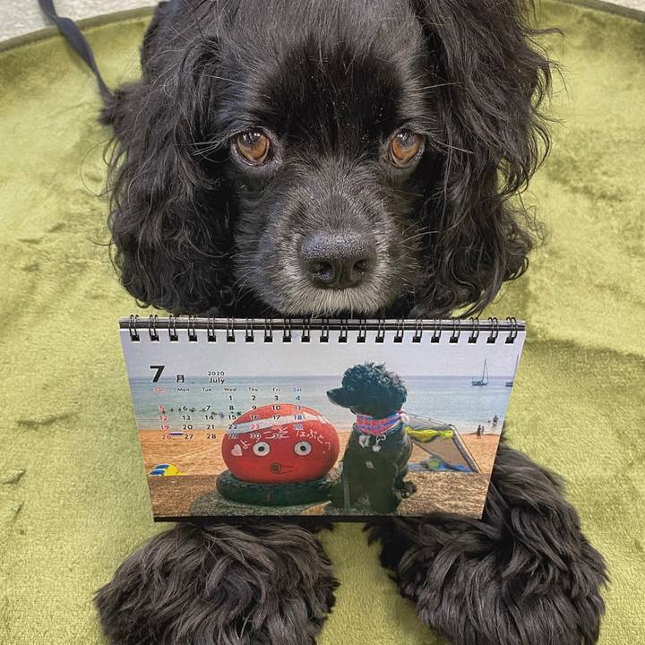 500d3787 40ce 4936 bc17 b4c88bde8e5c 1593756228664