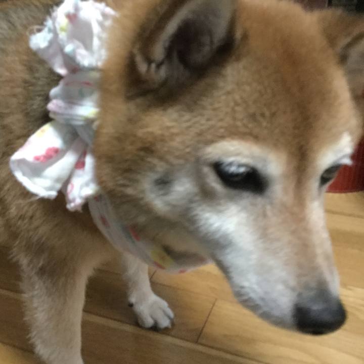 500d3f08 8318 4177 8498 af06fd6d3b74 1626772310980