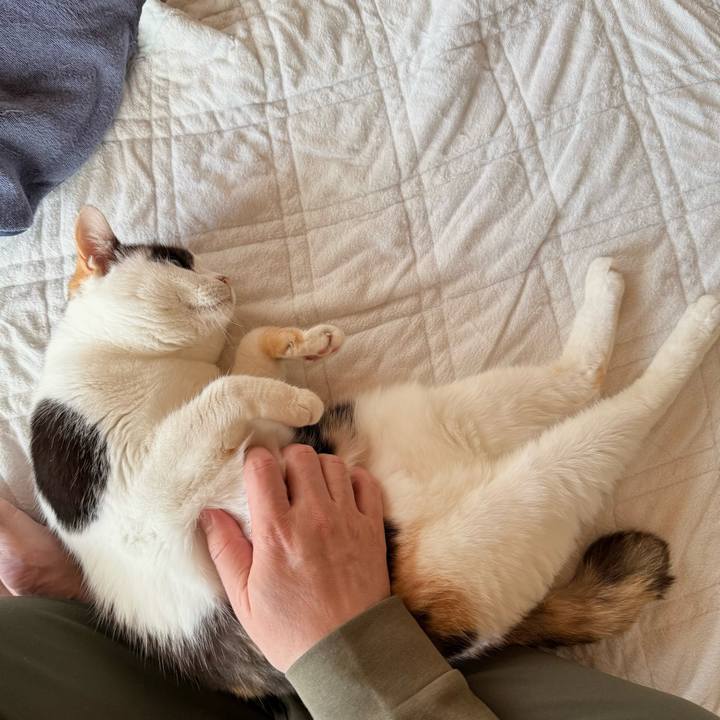 500d43f6 14d6 4403 88d7 1868e243b69a 1732411762480