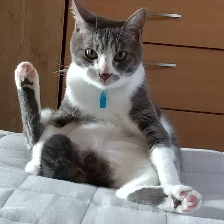 500d588b 4d05 43bd 912d 421df9efa8cd 1596669161882