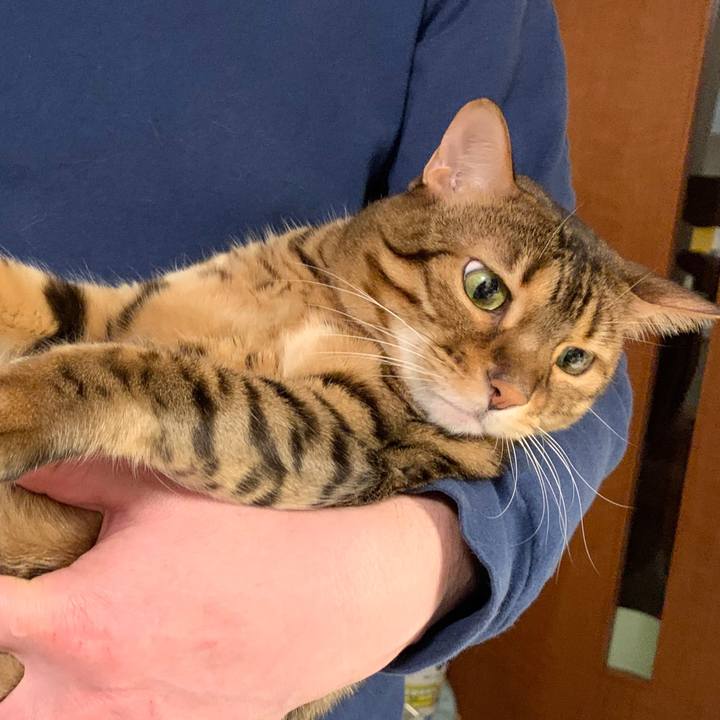 500da83d d424 4f4e 9c63 f0251e0964ea 1576886763508