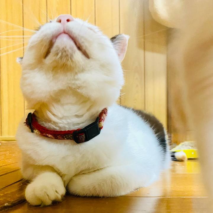 500de654 bec7 498a 8a18 b8a9d2c6d645 1692450813490