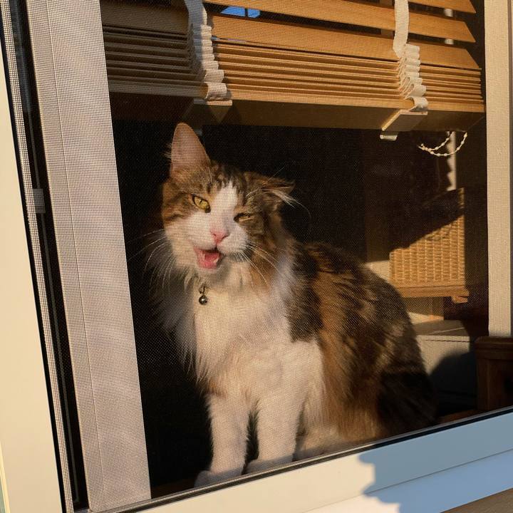 500df460 60c5 4f42 8aa9 6805511c8c9e 1652864501986