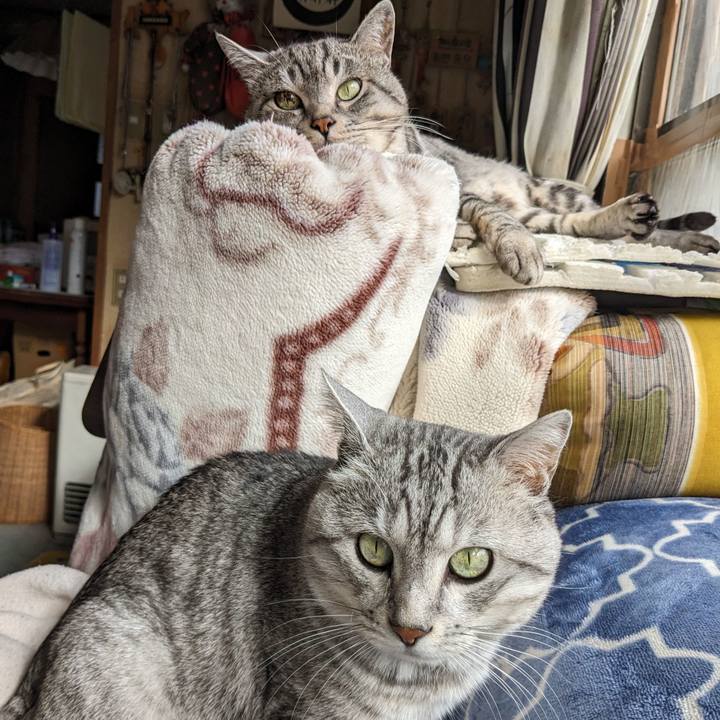 500e3508 0aeb 4c5b 928d 4e158a7d8fcb 1699064365547