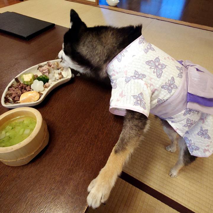 500e3cd9 4d04 4c0a 84b8 961b07cd06ba 1697954492294