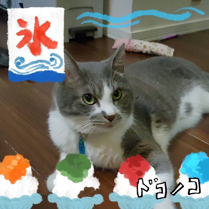 500e52ea 9929 4d01 beb1 222eeee81a29 1723546913756