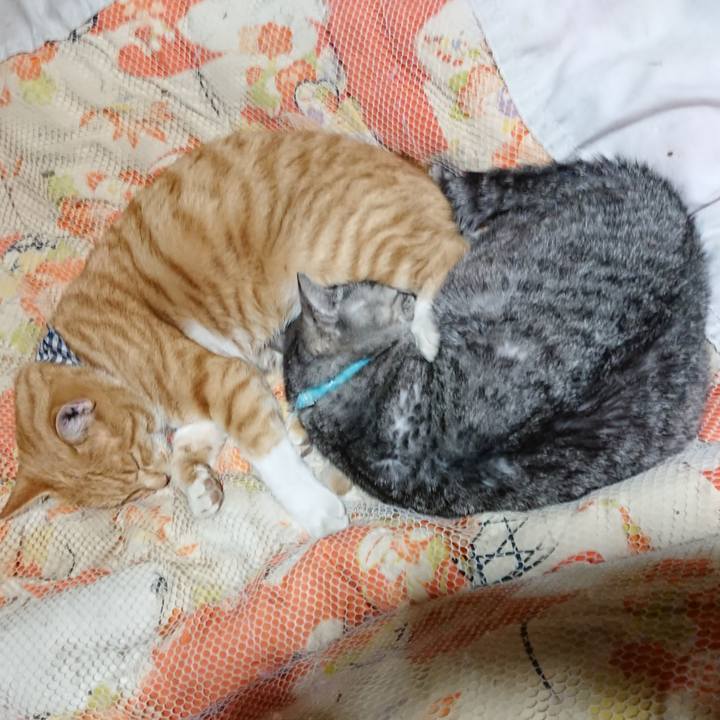 500e5c54 b7cf 41d2 aeae 2b8cdfb37f59 1573563824730