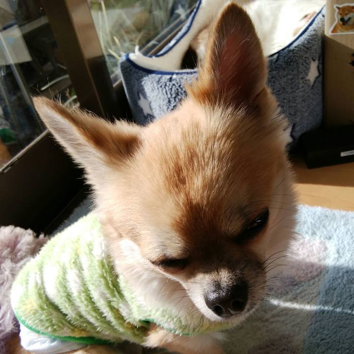 500e9bf7 f26e 4f06 8159 2558b8e2c6d1 1513141789077