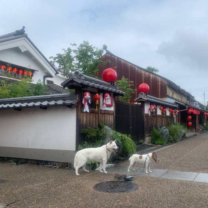 500eb107 9c9d 4f1b 8071 e9841443c84a 1562510526112