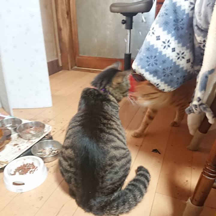 500ec505 e269 4148 9c59 ebaf52fe8ff0 1649802549296