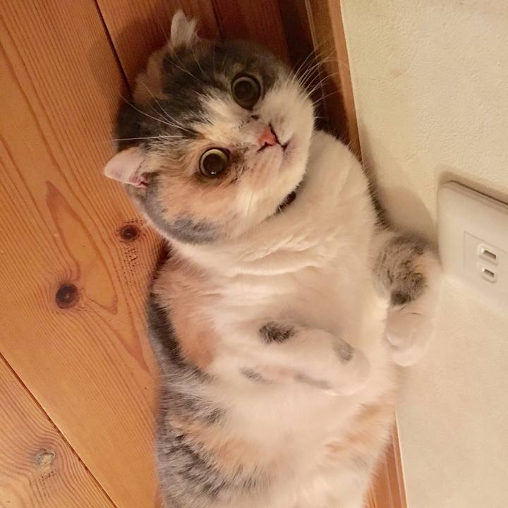 500eda3f 00b0 4d83 acbd f10532310519 1541672468084