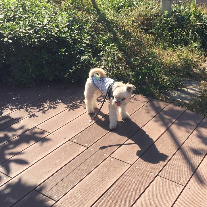 500ee6ab b6e3 400d 90ec 5875370b1802 1540464372424