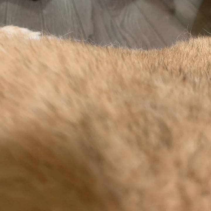 500eeeb0 7331 4c1a b8e4 c2264b7505a4 1620567840837