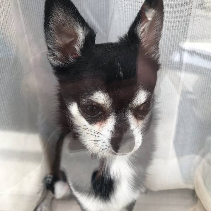 500ef6e4 ce18 43a4 bfe5 661be98b195c 1563931357457