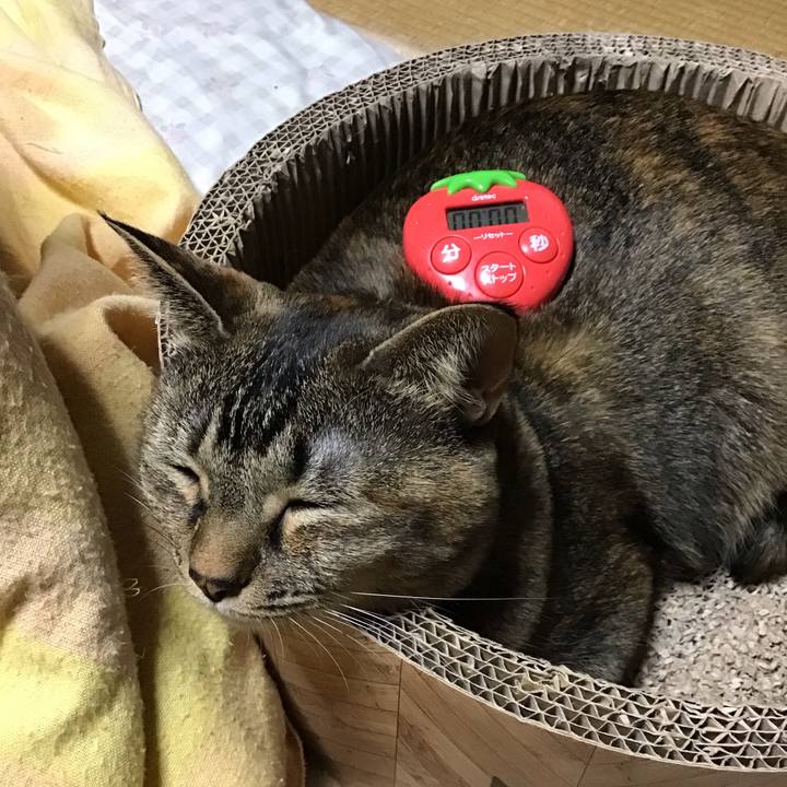 500f2370 fd0f 4c4d aec2 106d35c32015 1702550993272