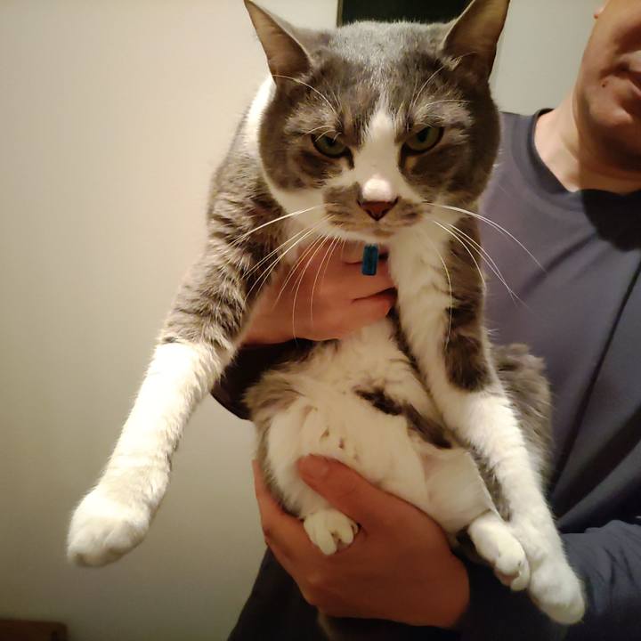 500f357d 7e2d 4e2f bb88 6b1e34e43a81 1711972983541