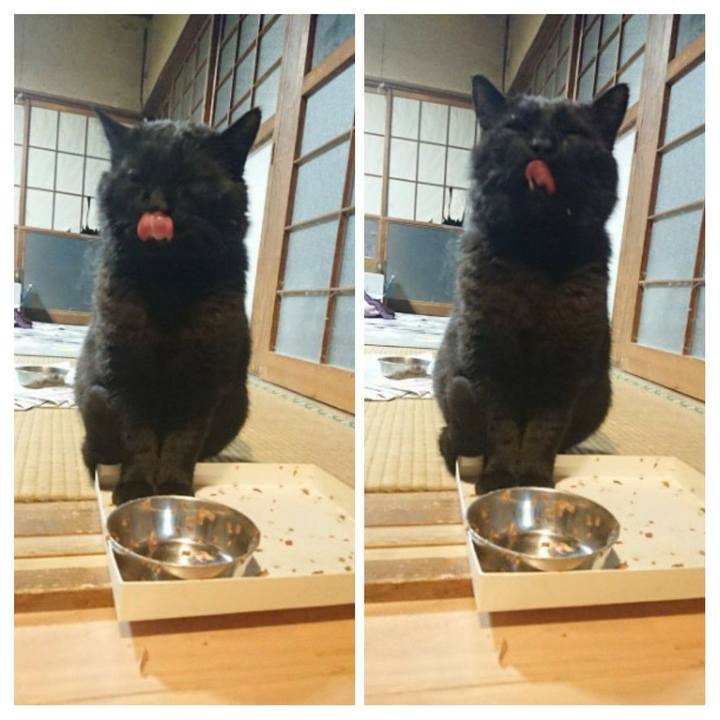 500f42d6 8a72 41d3 8d3c a8ad839cc6eb 1619187165703