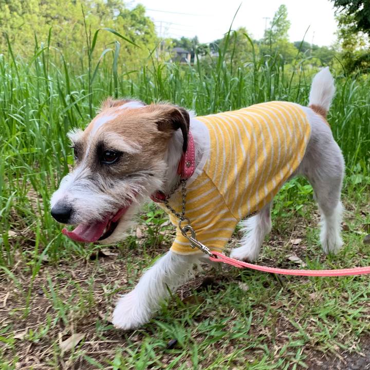 500f507e 7e76 483f 8412 7395a34c1d8b 1592214600908