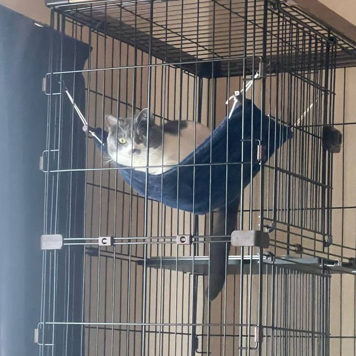 500f694d 772f 41b5 8532 e16083fb38bd 1661495588775