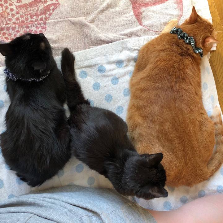 500f6f1e af68 4965 b7fb 42f53cabc81d 1557779372238