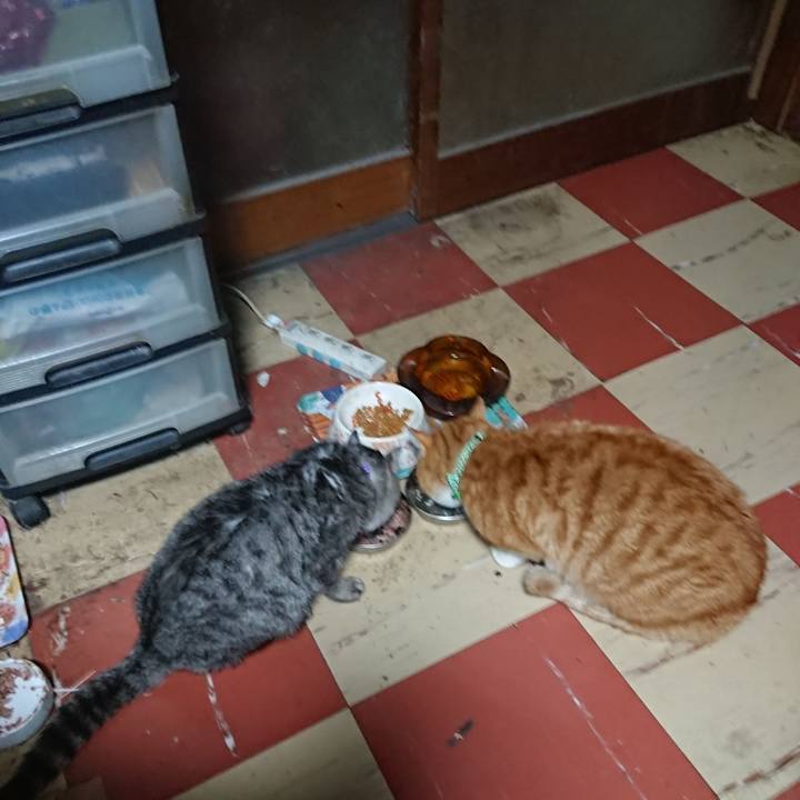 500f877e f0ef 441c 935f 0516c9a69e37 1581111582329