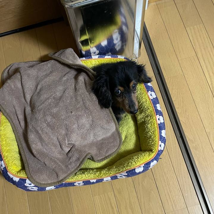 500f90bc 6f52 4a17 a653 f762120bbce7 1638395533962