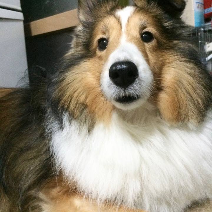 500fceb4 a949 4ebf 9353 d3d5f5006db4 1593599201785