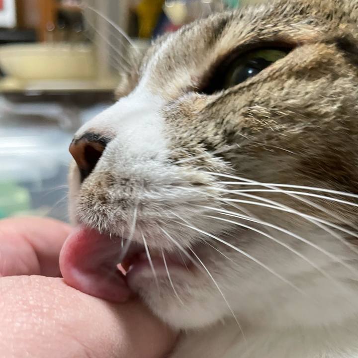 500fdfaf 2683 41a7 8976 60d35903186f 1635991184137