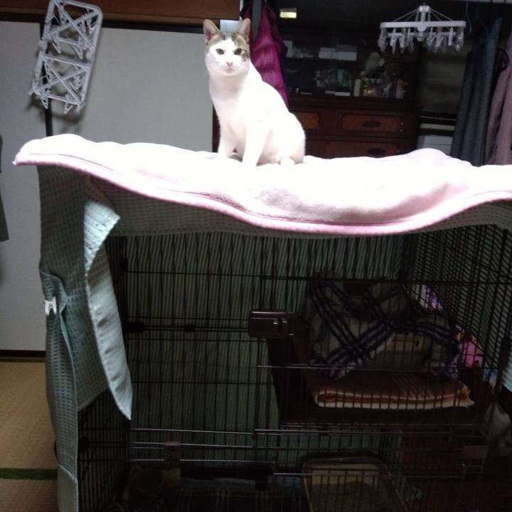 500ffb9f a2fe 4315 9d70 d6bf2245f8b4 1668861109487