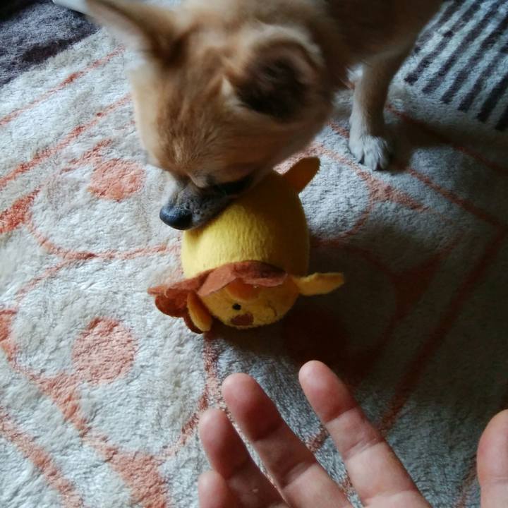 501065eb 3df1 46ba 80ad 6d27a9a6b249 1512198094935